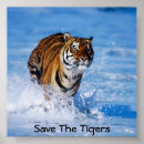 Search for save tiger posters Tigers