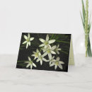 Search for gardener christmas cards Nature