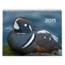 Search for duck calendars Birds