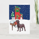Search for chocolate labrador cards Snow