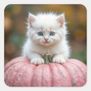 Search for fall cat stickers Feline