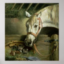 Search for stable art Barn