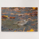 Search for sparrow puzzles Wildlife