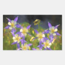 Search for columbine stickers Blue