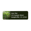 Search for forest trail National park