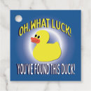 Search for cruising ducks Ship