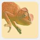 Search for reptile stickers Party