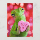 Search for cute chameleon postcards Funny