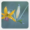 Search for northwest stickers Floral