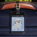 Search for maltese shih tzu Pets