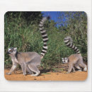 Search for conform mouse mats Full length