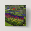 Search for netherlands square badges Lisse