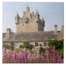 Search for remote tiles Castle