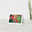 Search for cheery photography Floral
