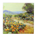 Search for cactus gifts Flowers