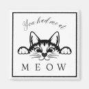 Search for meow magnets Fun