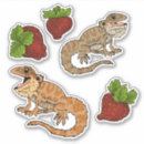 Search for bearded dragon stickers Cute