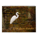 Search for egret Snowy egret