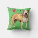 Search for bull terrier cushions Pitbull