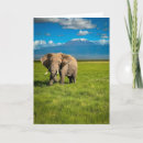 Search for folding reserved cards African elephant