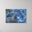Search for heron canvas prints Wildlife