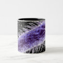 Search for bacteria coffee mugs Illustration