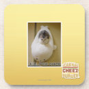 Search for speed coasters I can has cheezburger