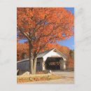 Search for oak postcards Autumn