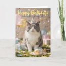 Search for kitty cat birthday cards Fun