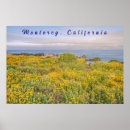 Search for monterey posters Coastal
