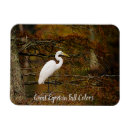 Search for egrets magnets Birds