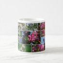 Search for apple blossom mugs Flowers