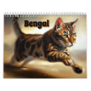Search for bengal cat calendars Pet