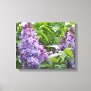 Search for lilac canvas prints Nature
