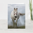 Search for white stallion cards Mare