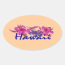 Search for hawaii flower stickers Hibiscus