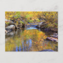 Search for aspen horizontal postcards Landscape