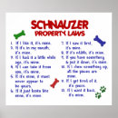 Search for schnauzer art Cute