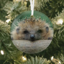 Search for mammals christmas tree decorations Nature