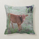 Search for brown cow cushions Bull