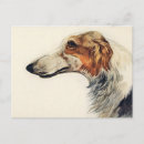 Search for appointment postcards Animals