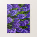 Search for hyacinth puzzles Blue