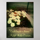 Search for peace flower posters Inspiration