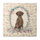 Search for cute labrador retriever Adorable