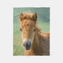 Search for shetland pony gifts Foal
