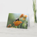 Search for lantana postcards Insects