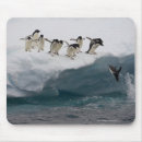 Search for penguin mouse mats Wildlife