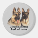 Search for herd dog magnets Shepherd