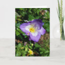 Search for freesias cards Garden