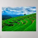 Search for rice paper art Landscape